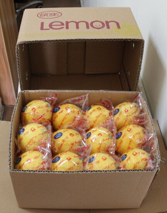安岳一级新鲜黄柠檬中果 21个精品独立包装 无蜡酸爽多汁孕妇水果