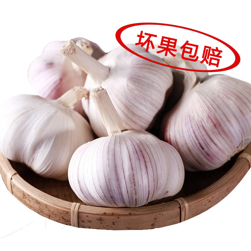 农家干大蒜头自种河南杞县特产2020年蒜头低价干蒜5斤新鲜紫白皮